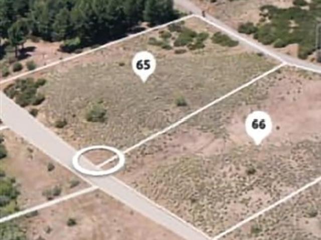 Parcela en Venta en Lonquimay