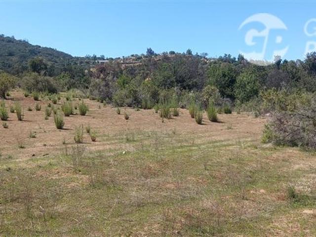 Parcela en Venta en Los Claveles con Las palmas