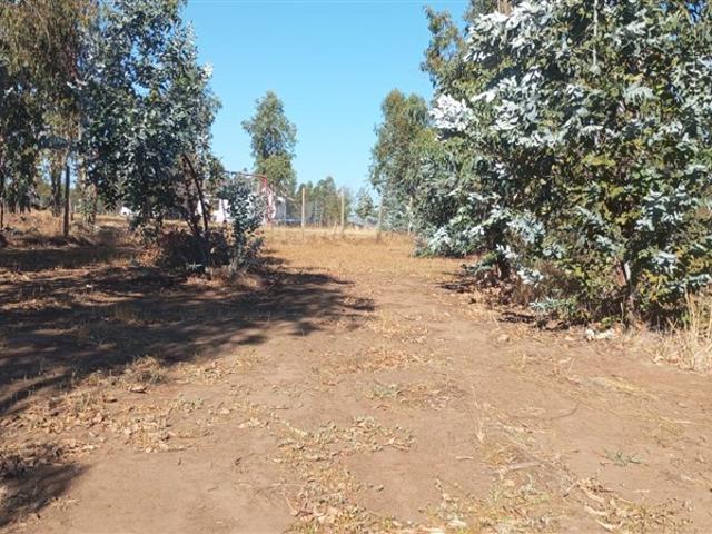 Parcela en Venta en Loteo La Esperanza, altura del km2 ruta k 605
