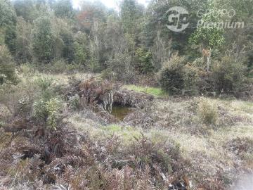 Parcela en Venta en Puerto Varas tres puentes