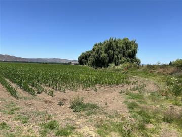 Parcela en Venta en Parcela 30 sector los Rulos