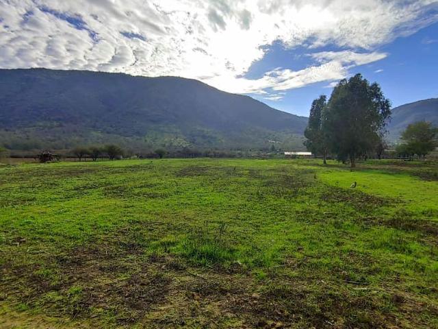 Parcela en Venta en PARCELA DE 1.64 HECTAREAS COMUNA ALHUE
