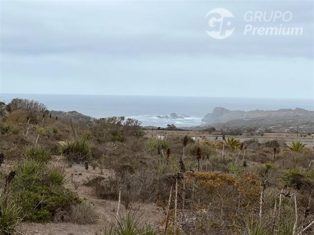 Parcela en Venta en PARCELA EN CONDOMINIO VISTA AL MAR 5.000M2 TRATO DIRECTO
