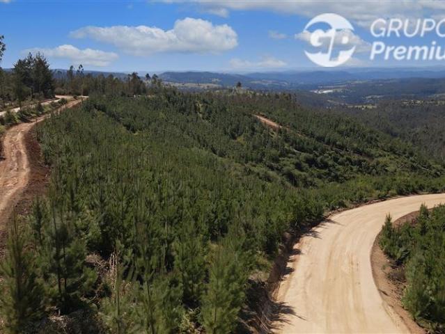 Parcela en Venta en Paredones