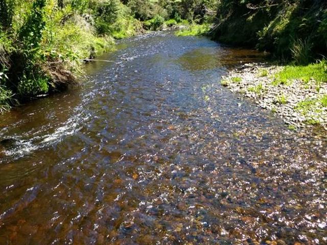 Parcela en Venta en Ruta 5, kilómetro 4, Chepu