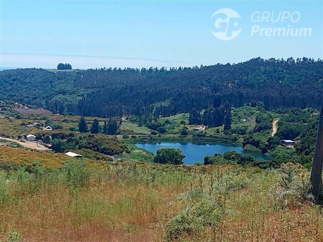 Parcela en Venta en QUEBRADA LAS ROSAS, PARCELA NRO.34 RUTA G80 KM 4 SANTO DOMINGO VALPARAISO