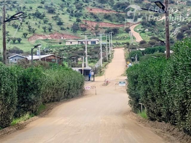 Parcela en Venta en Quillay