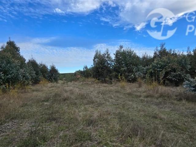 Parcela en Venta en ruta Q 61 kilometro 22,4