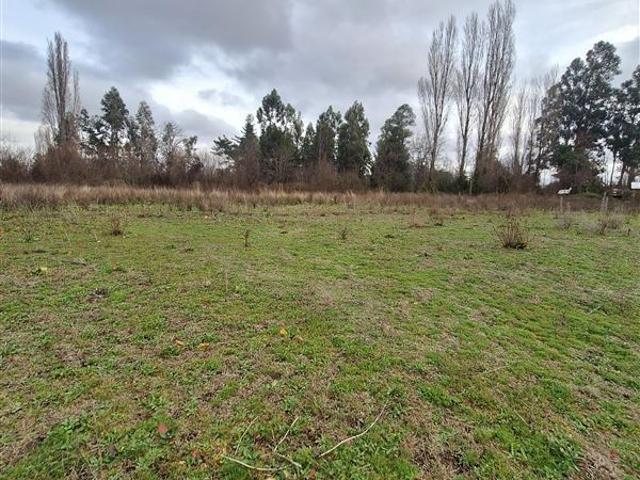 Parcela en Venta en Ruta Q 117 Los Angeles Caliboro