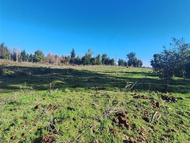 Parcela en Venta en Ruta Q 30, los Troncos Los Ángeles