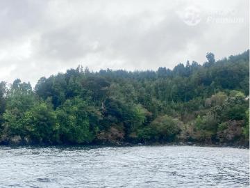 Casa en venta en Puerto Cisnes