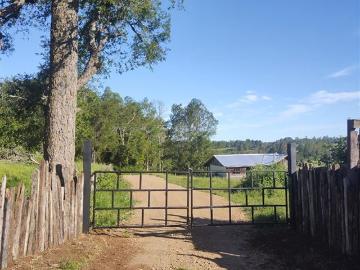Riachuelo, Provincia de Osorno, Región de Los Lagos
