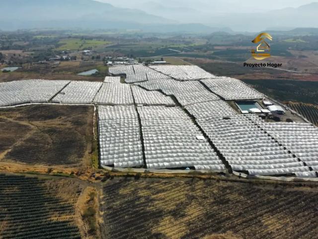 PARCELA EN VENTA EN SAN MARCOS, JALISCO