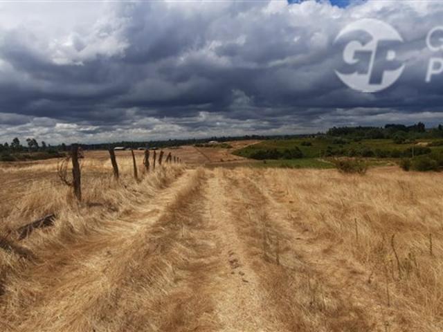 Parcela en Venta en San Ramon, Yumbel