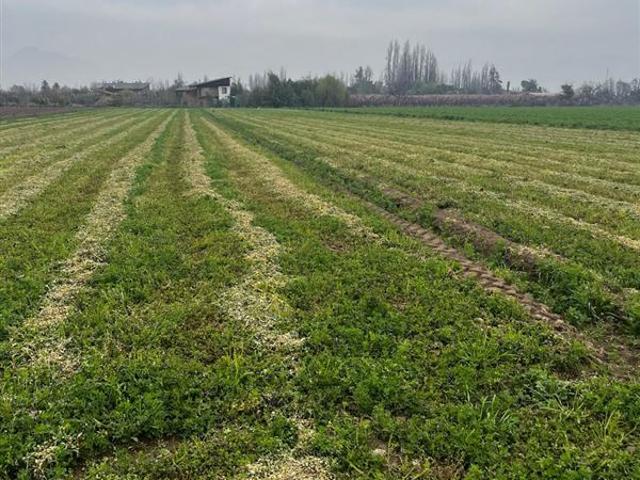 Parcela en Venta en Santa maria provincia de San Felipe