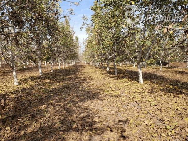 Parcela en Venta en Santa Teresa con El Colorado, Colina