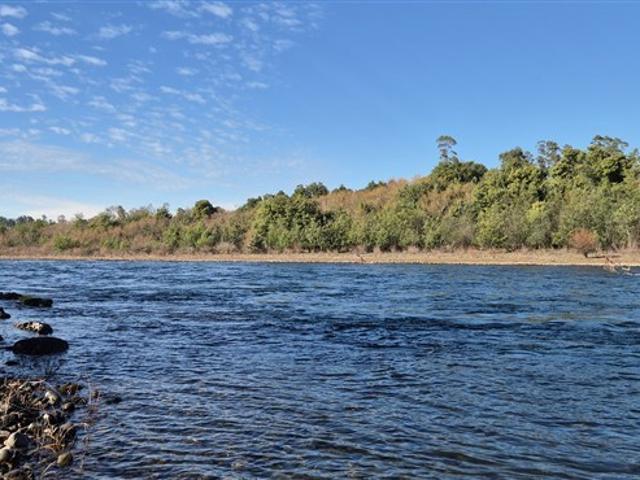 Parcela en Venta en Sector Coipue Freire