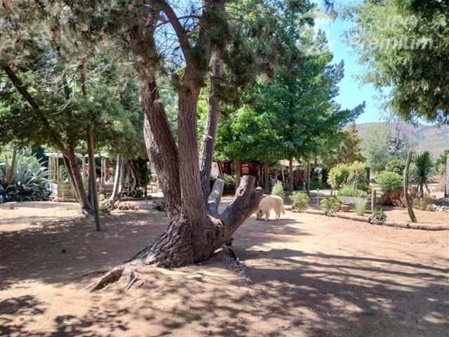Parcela en Venta en SECTOR EL MEMBRILLO, PARCELA EL AGUILA, SAN PEDRO. MELIPILLA