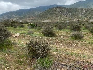 Parcela en Venta en Sector el Rosario Estancia Carmin del Elqui