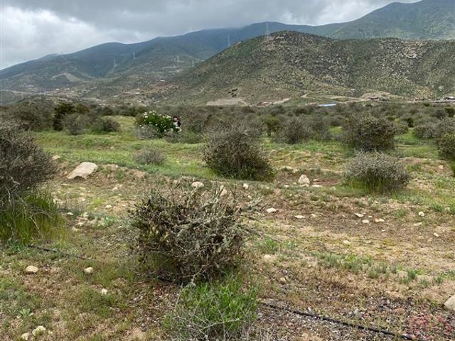 Parcela en Venta en Sector el Rosario Estancia Carmin del Elqui