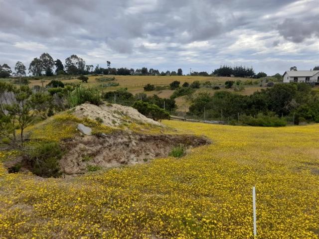 Parcela en Venta en SECTOR LOS CARDOS SAN JOSE