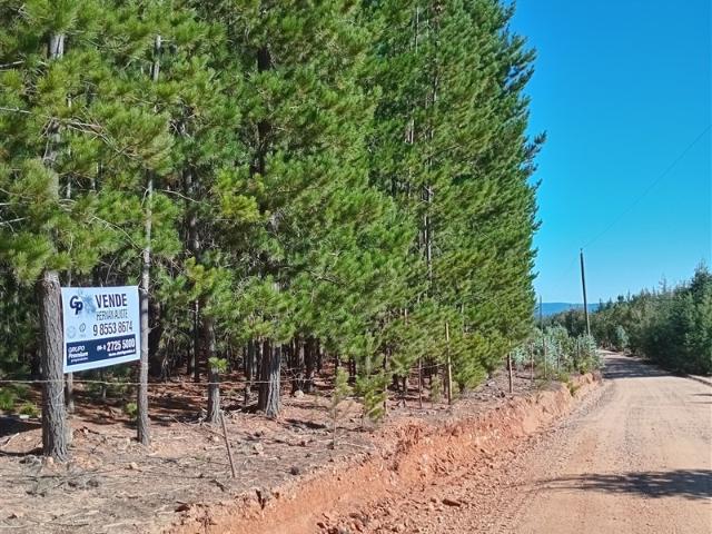 Parcela en Venta en Sector Los Cristales, camino interior a Vichuquén