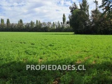 Parcela en Venta en Simón Bolivar Noviciado