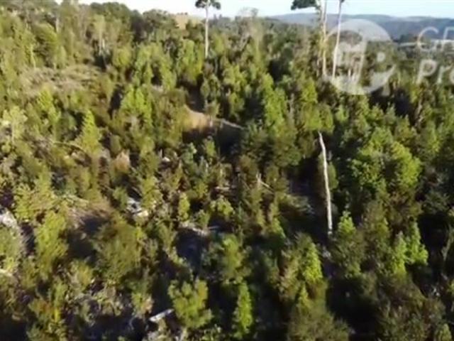 Parcela en Venta en TAMBOR ALTO, PREDIO HIJUELA 5