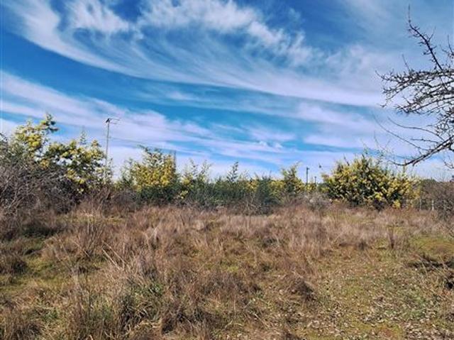 Parcela en Venta en Tomeco, Yumbel