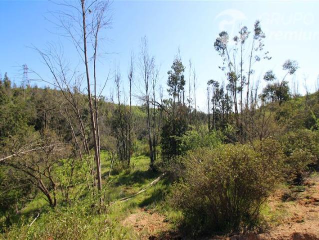 Parcela en Venta en Valle Verde Mar