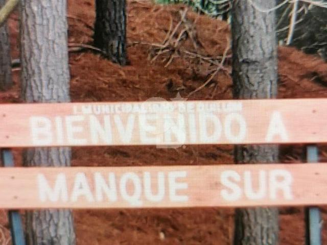 Parcela en Venta – Quillón, Sector Manque Sur | 0 Dormitorios por 22000. 00 en Quillón