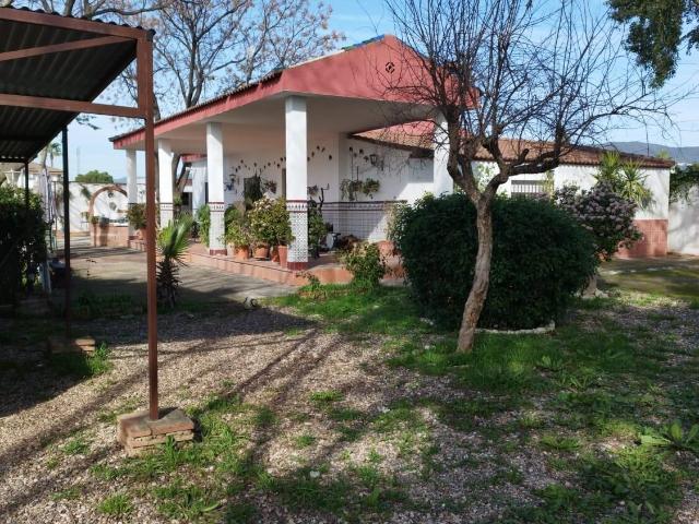 PARCELA EN ZONA CAMINO VIEJO DE ALMODOVAR CON PISCINA Y TERRENO DE 3000m2 250.000€