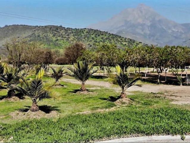 PARCELA HERMOSA EN VENTA EN PARQUE OASIS LA CAMPANA
