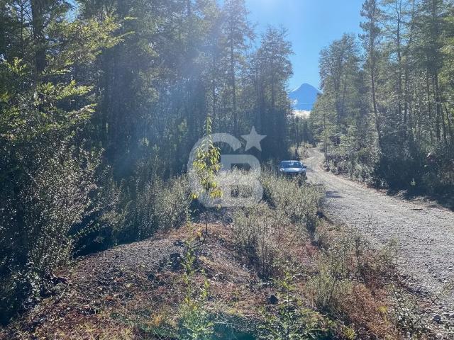 Parcela inmersa en un hermoso bosque nativo | 0 dormitorios por 65000. 00 en Puerto Varas