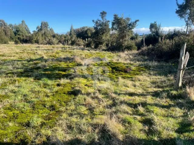 Parcela Isla Puluqui: 5000m² de Naturaleza e Inversión | 0 dormitorios por 600.00 en Calbuco