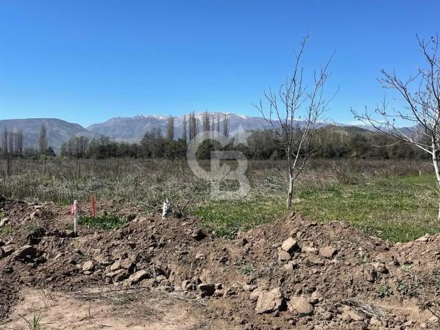 Parcela Los Andes calle larga paso Basaure | 0 dormitorios por 2550.00 en Calle Larga