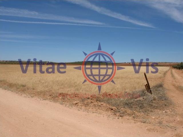 PARCELA PARA NAVE DE POLLOS EN LA PACA