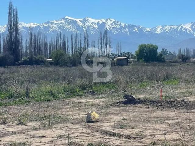 Parcela plana Paso Basaure Los Andes | 0 dormitorios por 2550.00 en Calle Larga