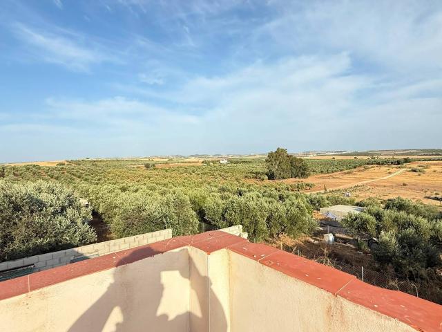 PARCELA RÚSTICA CON VIVIENDA PARA REFORMAR EN MORÓN DE LA FRONTERA solo 30.000€