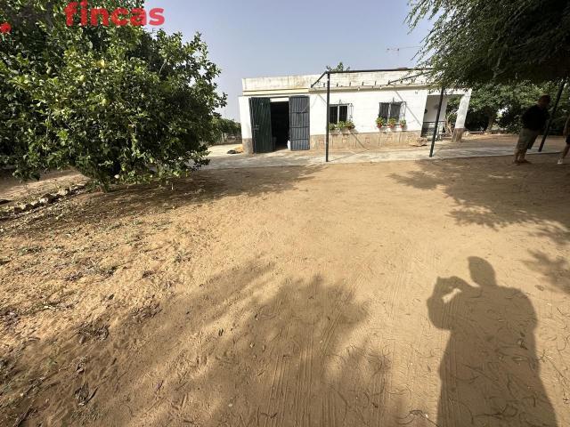 FINCA DE LABOR CON VIVIENDA, POZO Y LUZ EN UTRERA