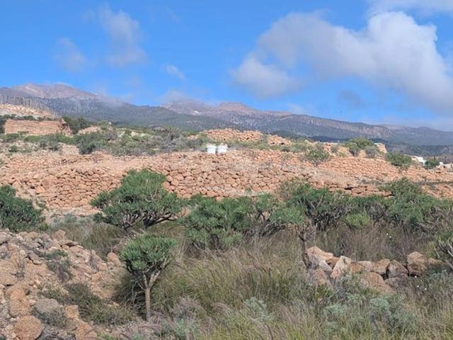 Parcela rústica en El Pinito, Granadilla de Abona m² Los Blanquitos