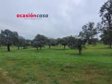 PARCELA RÚSTICA EN PEDROCHE