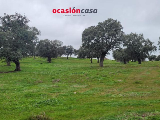 PARCELA RÚSTICA EN PEDROCHE