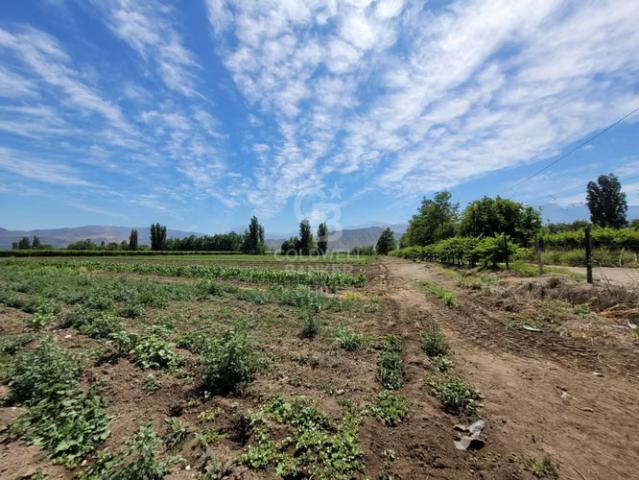 Parcela Sector Santa Maria, San Felipe | 0 dormitorios por 62000. 00 en Santa María