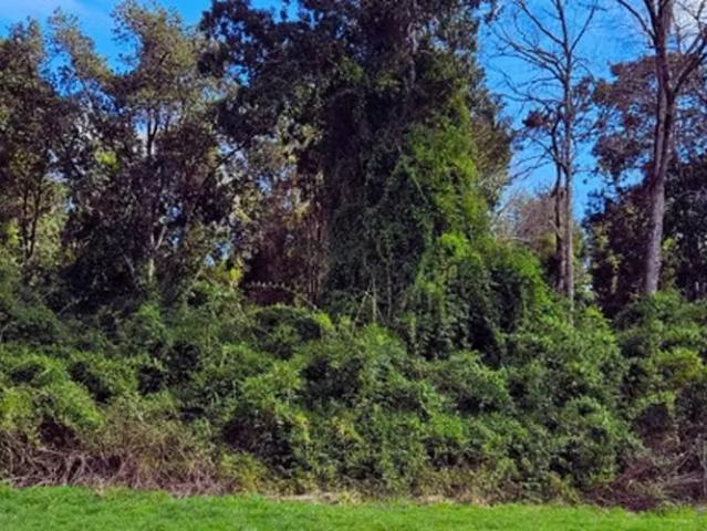 Parcela soñada en Frutillar: Agua, luz y entorno natural | 0 dormitorios por 1700.00 en Frutillar