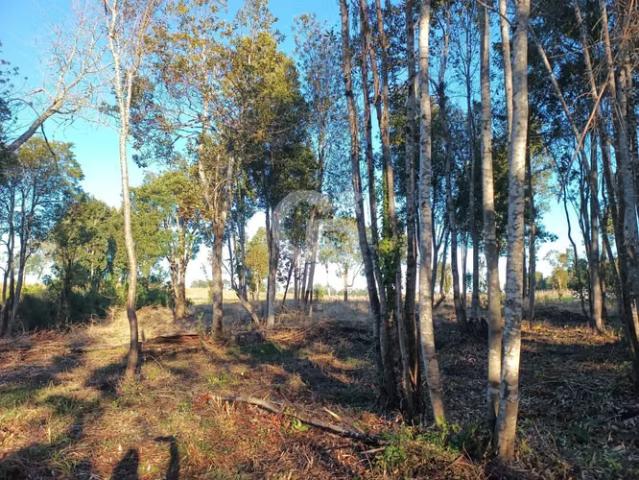 Parcela única: vistas al Calbuco y naturaleza intacta | 0 dormitorios por 59000. 00 en Llanquihue