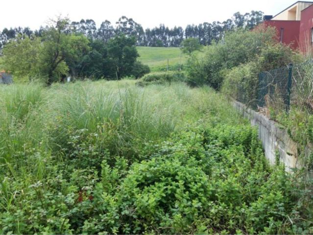 PARCELA URBANIZABLE EN ORUÑA DE PIELAGOS