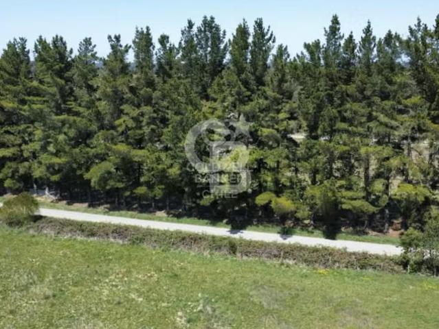 Urbanizada en Camino Las Lomas – Puerto Montt | 1 dormitorios por 2350.00 en Puerto Varas