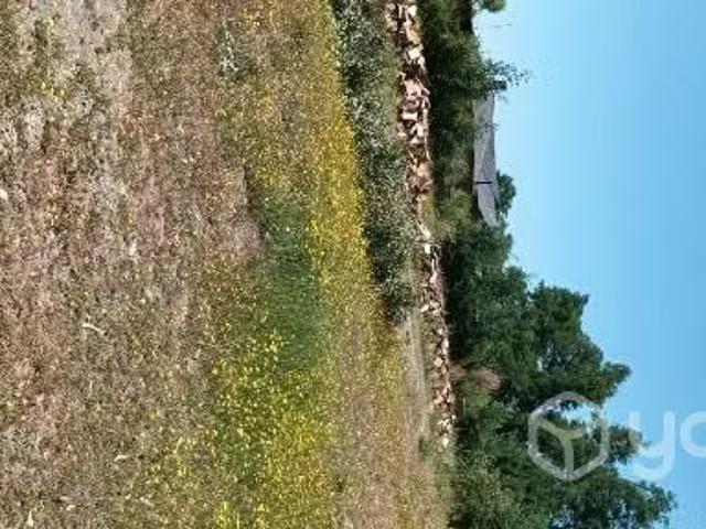 Parcela y casa | 3 dormitorios por 85000. 00 en Coihueco
