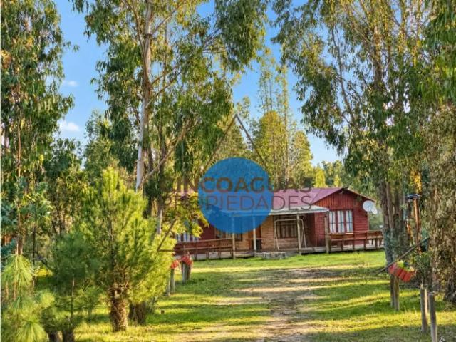 Parcela 10.000 m² casa 4d/2b + quincho foresta de zapallar | 4 dormitorios por 158000. 00 en Zapallar
